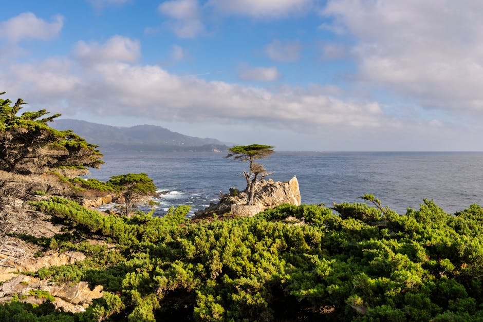 Your Perfect Monterey Weekend: Cannery Row, Aquarium & 17-Mile Drive