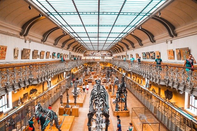 Jurassic Quest Dallas 2026: Your Ultimate Dino & Brick Adventure Guide